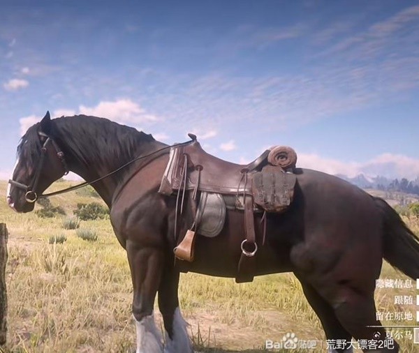 《荒野大镖客2》部分马匹获取地点