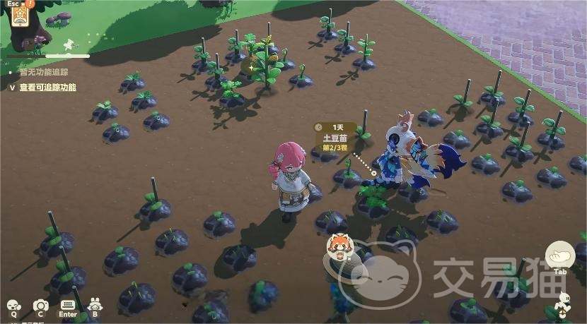 星布谷地好玩吗 星布谷地新手入门玩法与体验分享