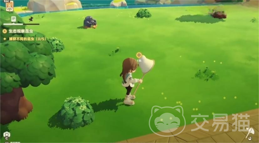 星布谷地抓蝴蝶攻略 星布谷地高效捕蝶技巧与路线推荐