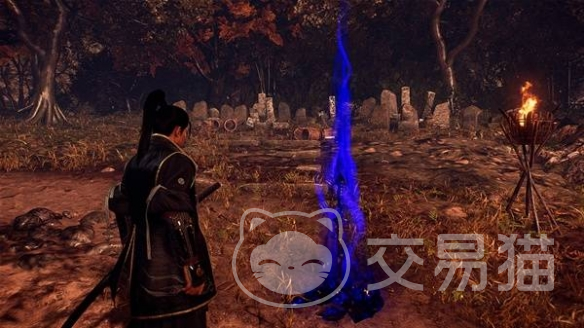 仁王3可以跨平台吗 仁王3联机功能详解