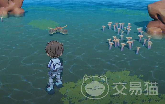 星布谷地抓龙虾攻略 星布谷地龙虾捕捉技巧与最佳点位详解