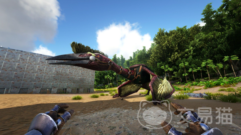 方舟生存进化手游风神翼龙捕获指南 方舟生存进化手游空中翼龙驯服全流程教学