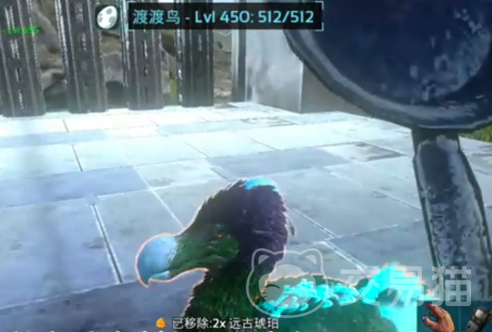 方舟生存进化手游渡渡鸟培养指南 方舟生存进化手游巨型渡渡鸟驯服与升级全攻略